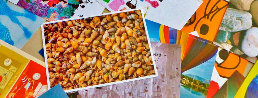 Sinun vuorosi loistaa -unelmakarttatyöpaja upeille naisille